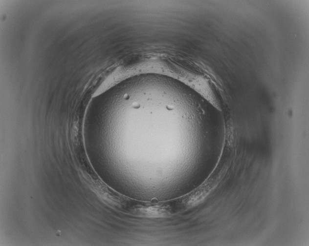 X0000085210365200703161225