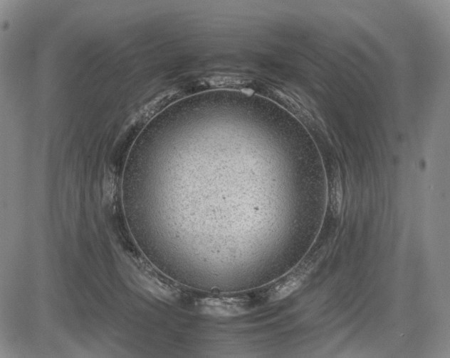 X0000085210367200703161225