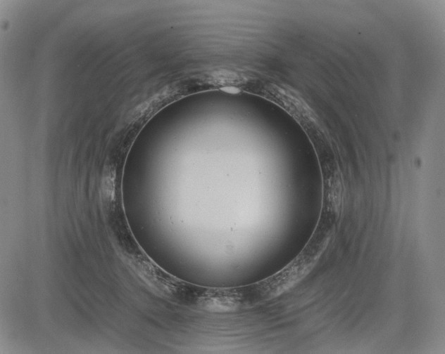 X0000085210368200703161225