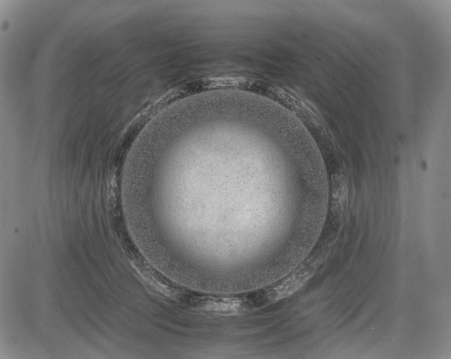 X0000085210369200703161225