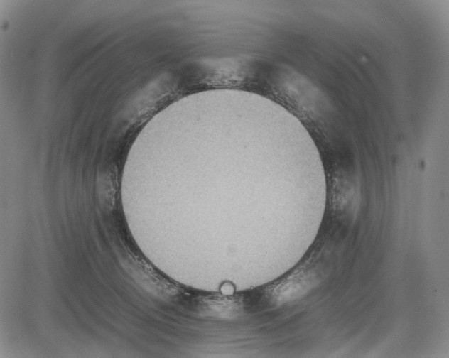 X0000085210370200703161225