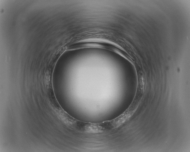 X0000085210372200703161225