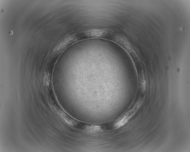 X0000085210374200703161225