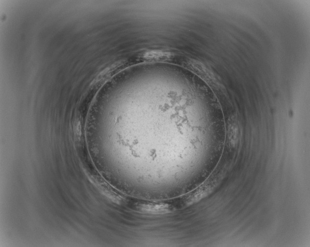 X0000085210375200703161225