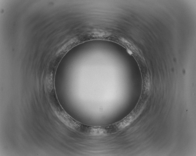 X0000085210376200703161225