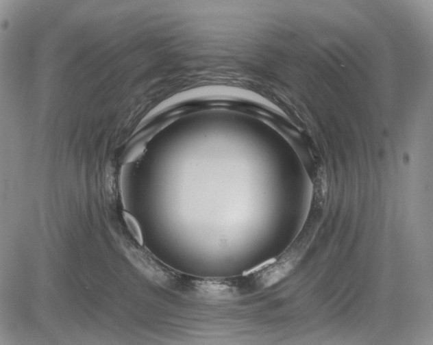 X0000085210380200703161225