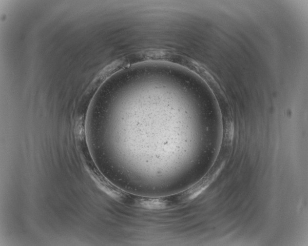 X0000085210383200703161225