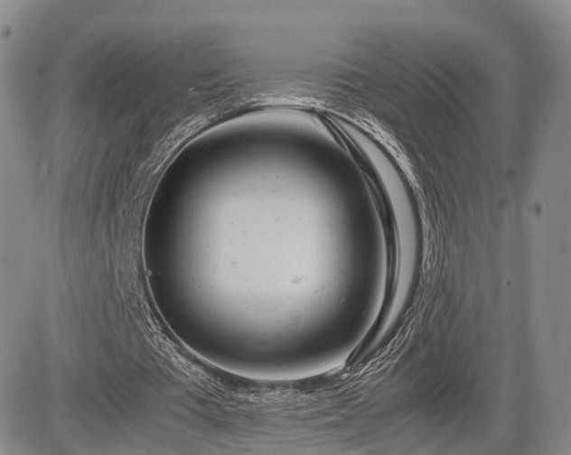 X0000085210385200703161225