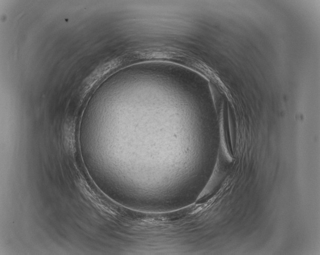 X0000085210386200703161225