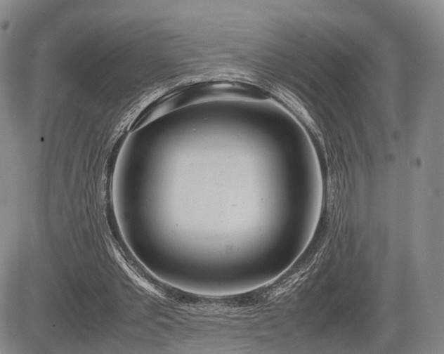 X0000085210389200703161224