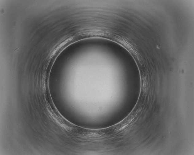 X0000085210390200703161224