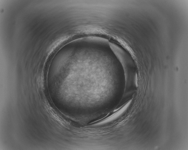 X0000085210391200703161224