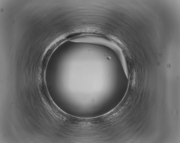 X0000085210392200703161224