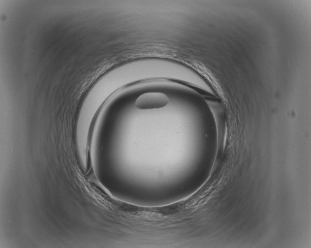 X0000085210393200703161224