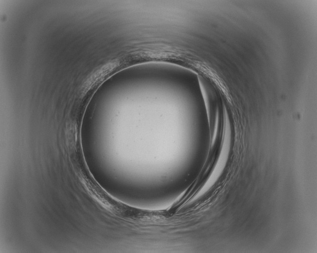 X0000085210397200703161224