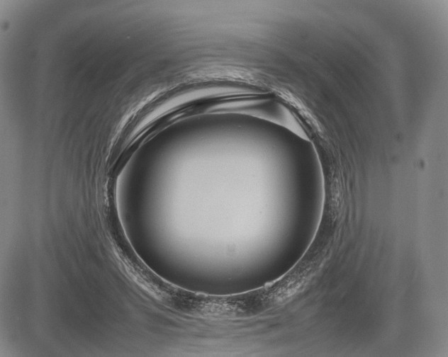 X0000085210399200703161224