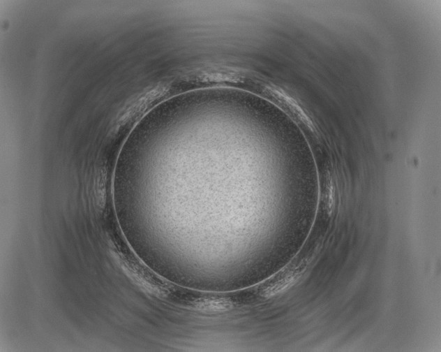 X0000085210402200703161224