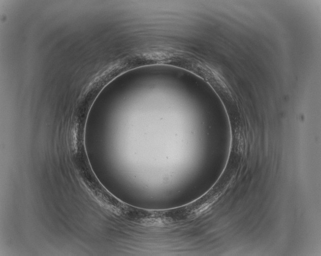 X0000085210404200703161224