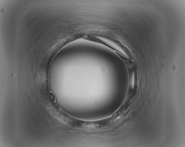 X0000085210407200703161224