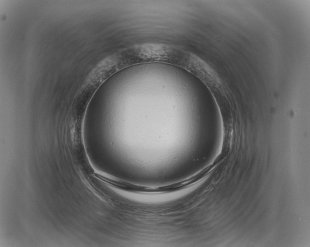 X0000085210408200703161224