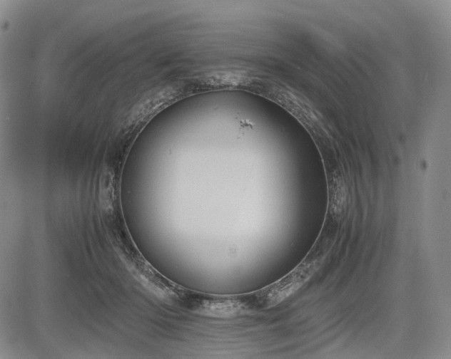 X0000085210414200703161224