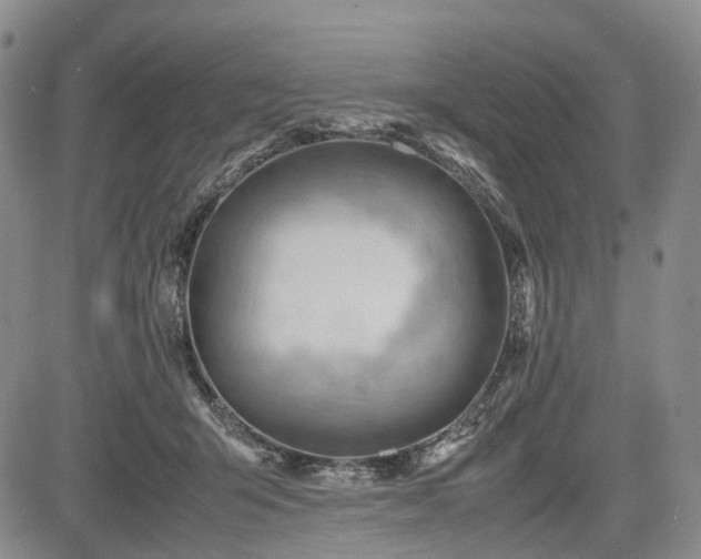 X0000085210415200703161224