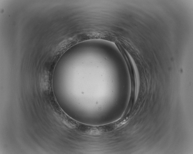 X0000085210416200703161224