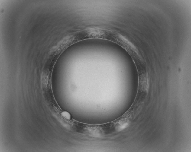 X0000085210417200703161224