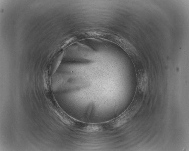 X0000085210418200703161224