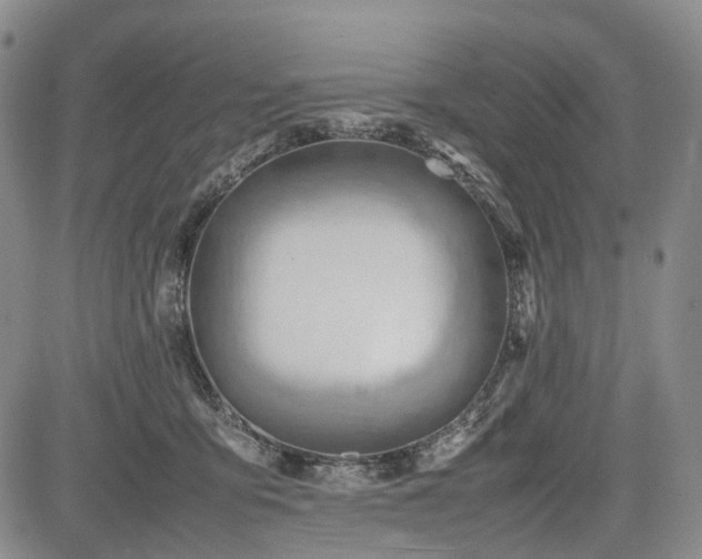 X0000085210419200703161224