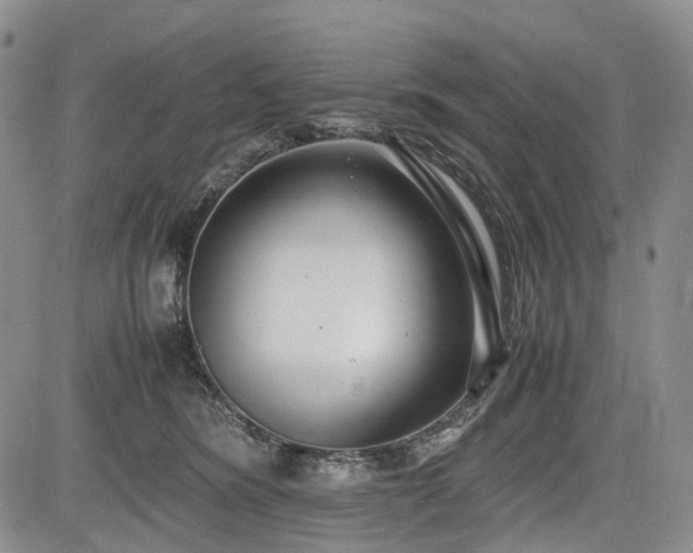 X0000085210420200703161224