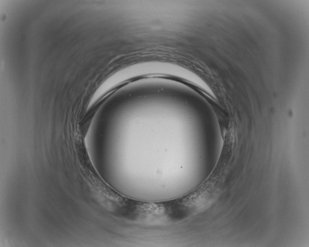 X0000085210421200703161224