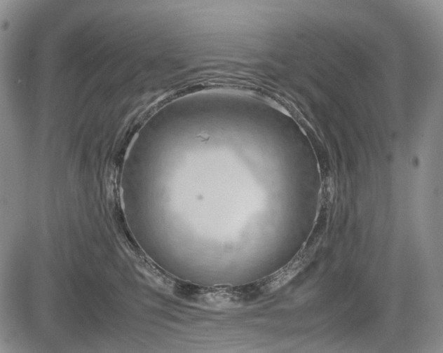 X0000085210423200703161224