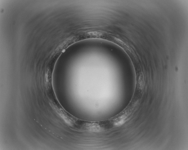 X0000085210424200703161224