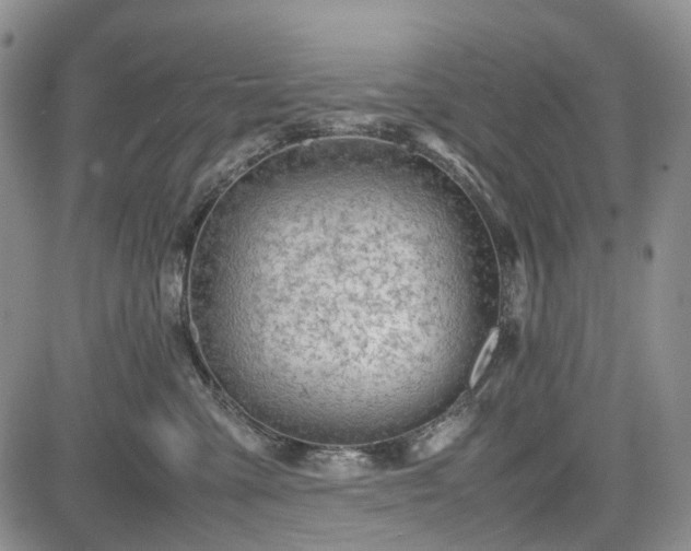 X0000085210427200703161224