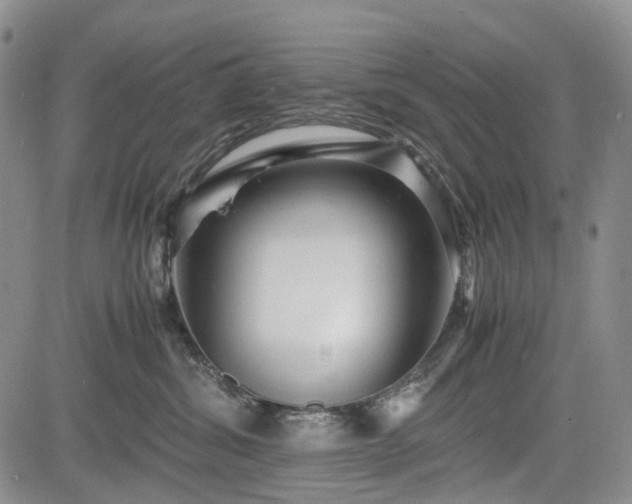 X0000085210428200703161224