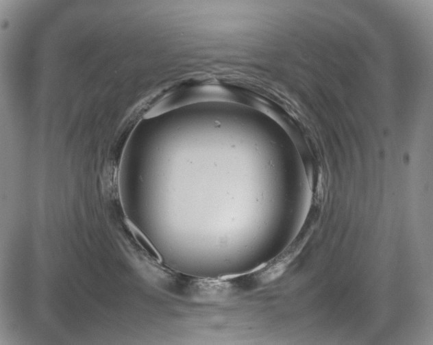 X0000085210429200703161224