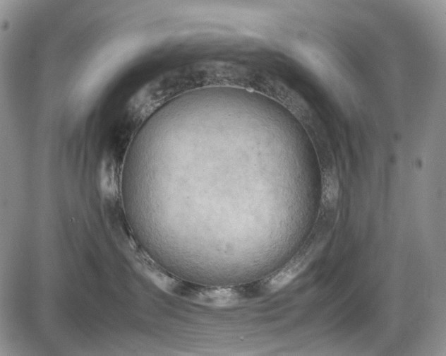 X0000085210431200703161224