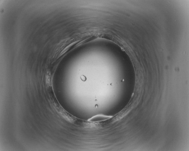 X0000085210432200703161224