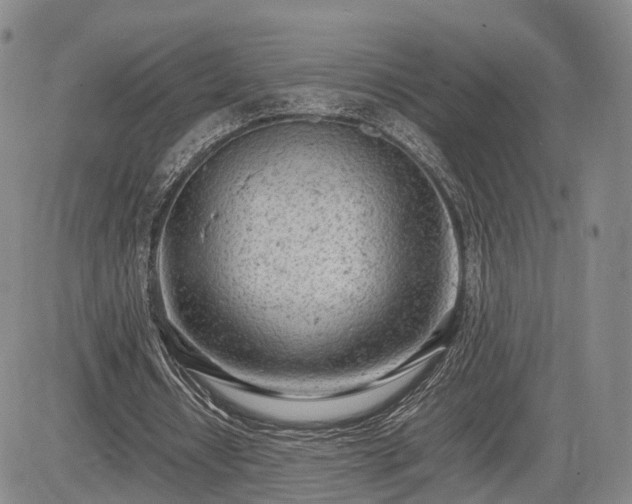 X0000085210434200703161223