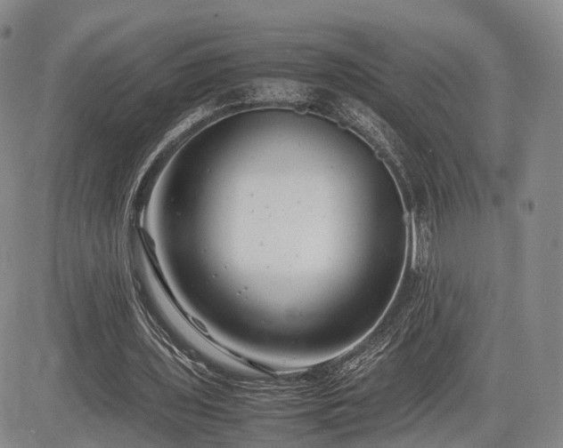 X0000085210435200703161223