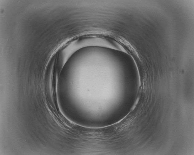 X0000085210436200703161223