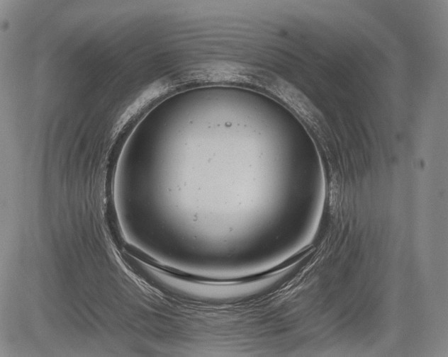 X0000085210438200703161223