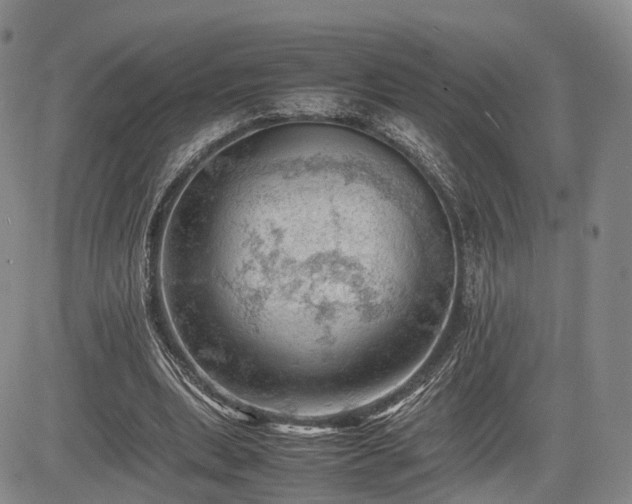 X0000085210439200703161223