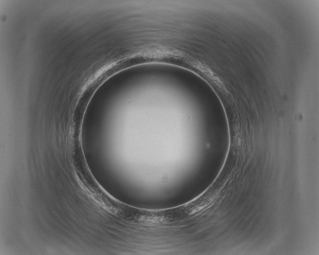 X0000085210440200703161223