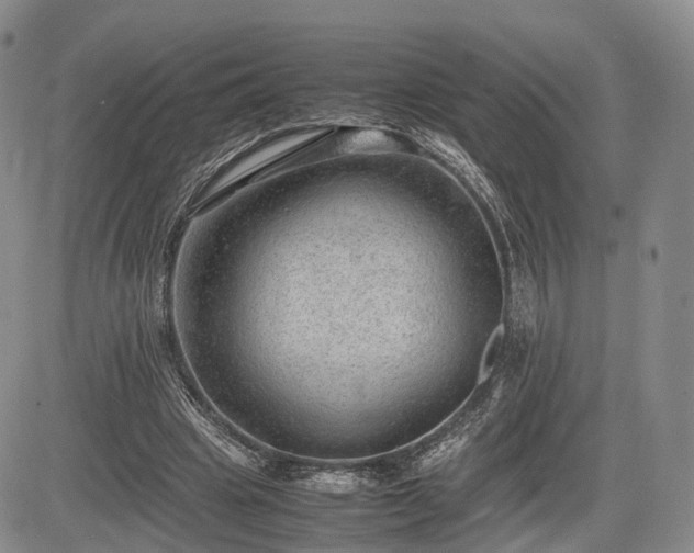 X0000085210441200703161223