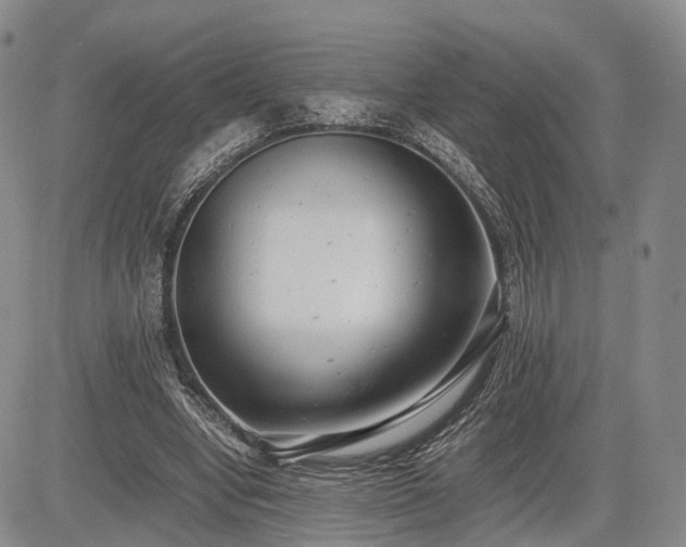 X0000085210442200703161223