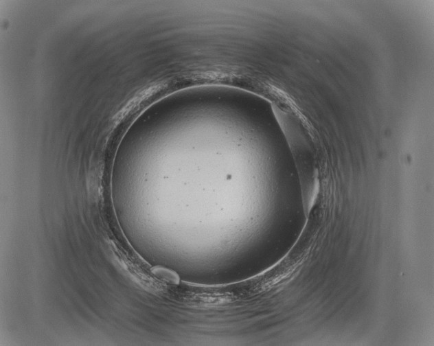 X0000085210443200703161223