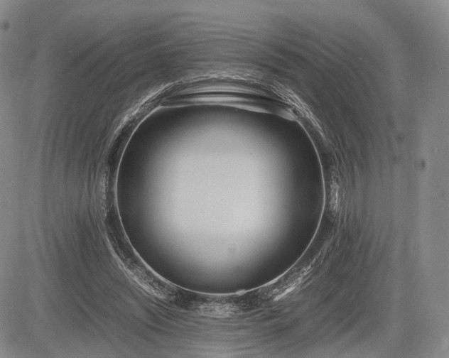 X0000085210444200703161223