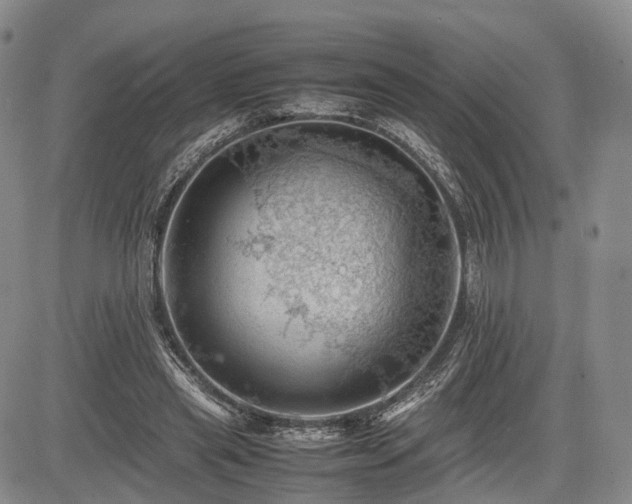 X0000085210445200703161223